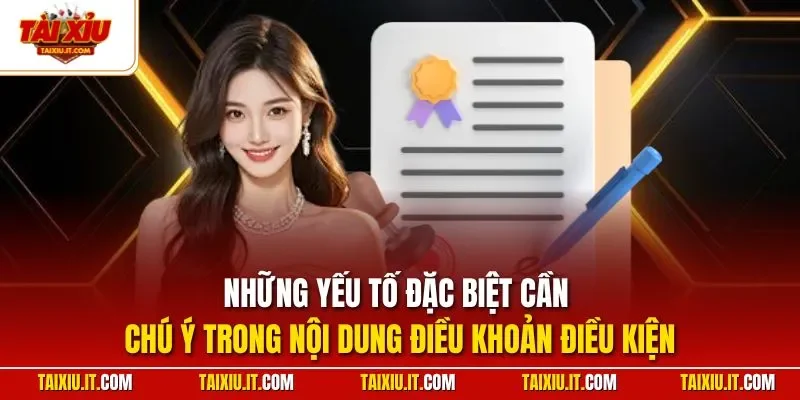 Những yếu tố đặc biệt cần chú ý trong nội dung điều khoản điều kiện